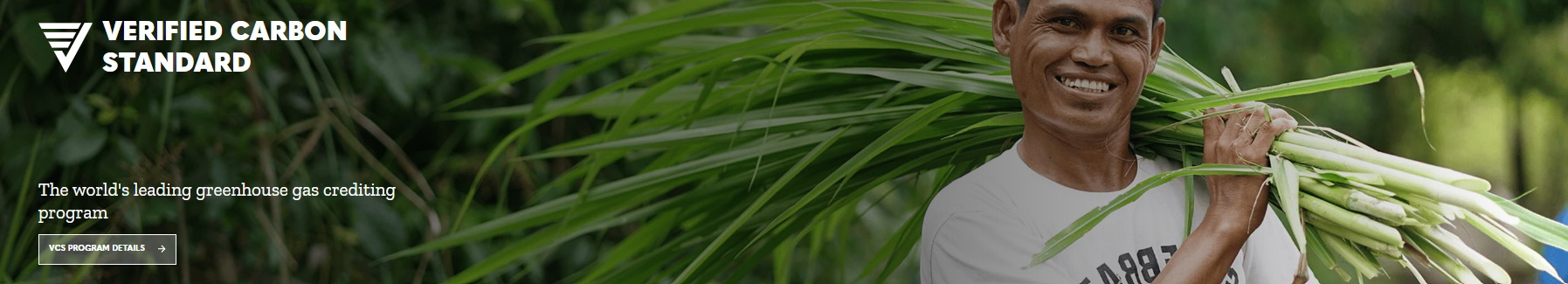 Verified Carbon Standard (VCS)